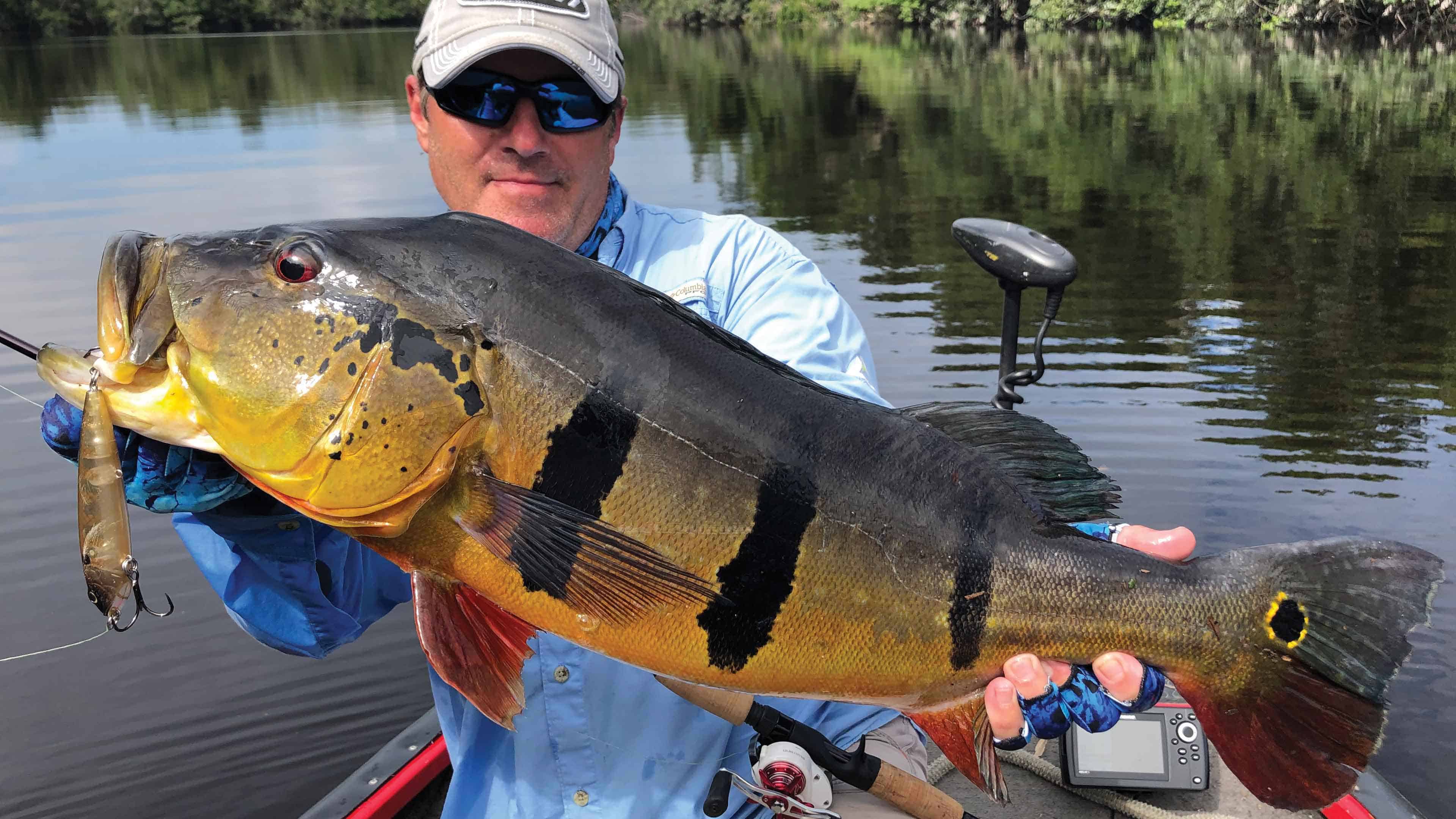 Dissect Any Farm Pond For Great Bass Fishing - Georgia Outdoor News