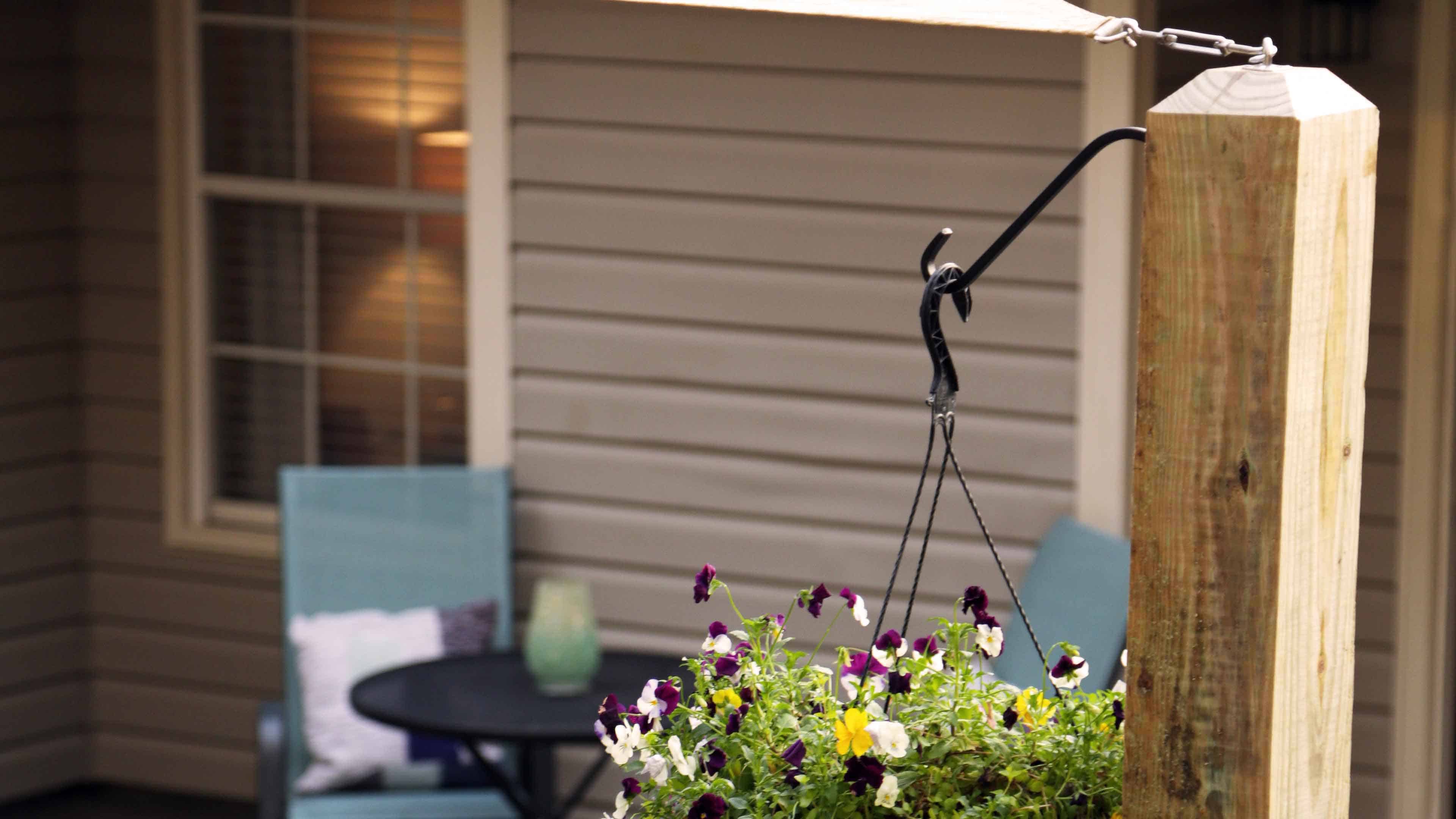 shade supports can also be used for hanging plants