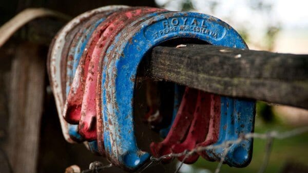 Increase your backyard fun with a DIY horseshoe pit build.