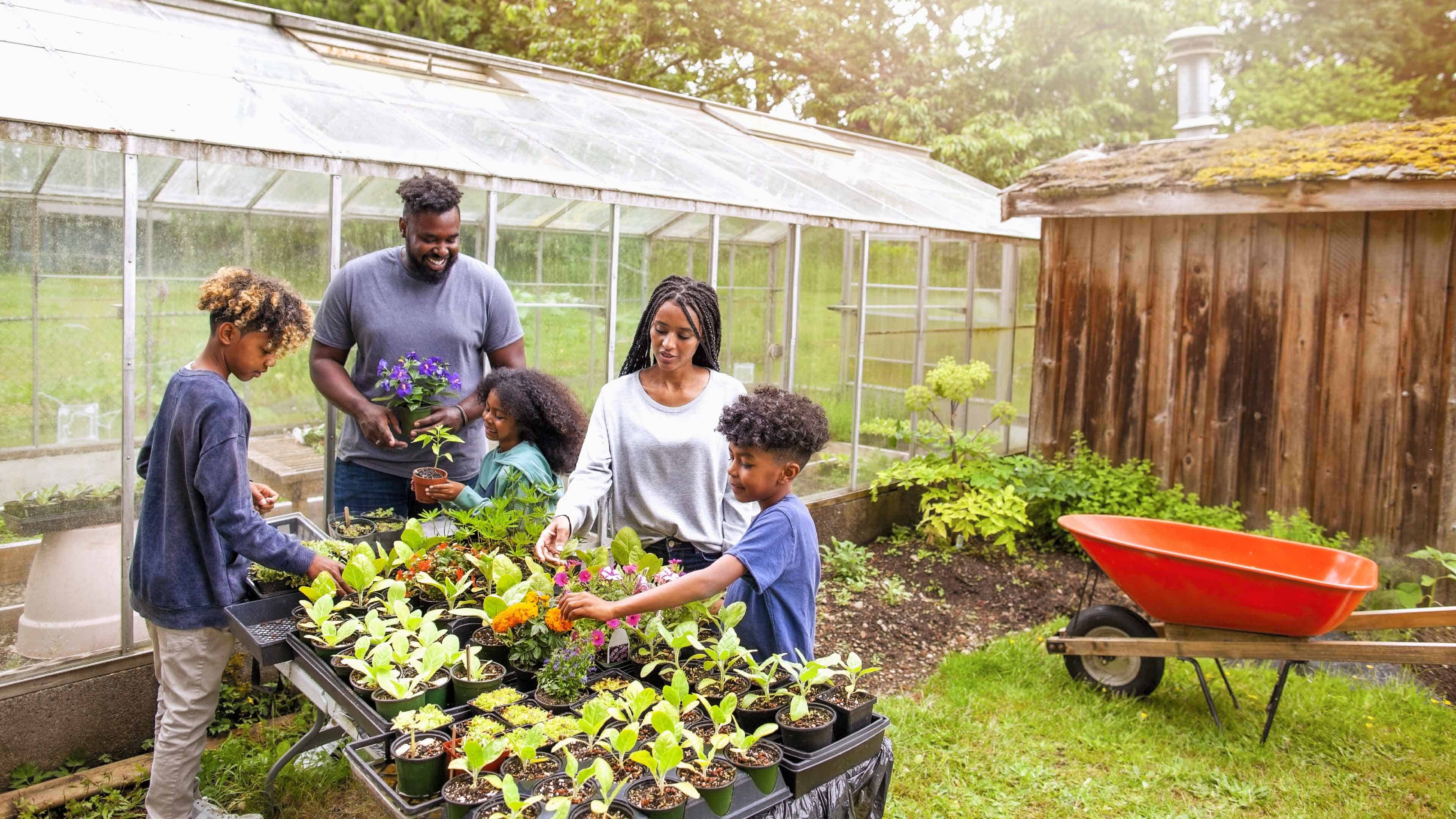 A family planting a garden beside their diy greenhouse