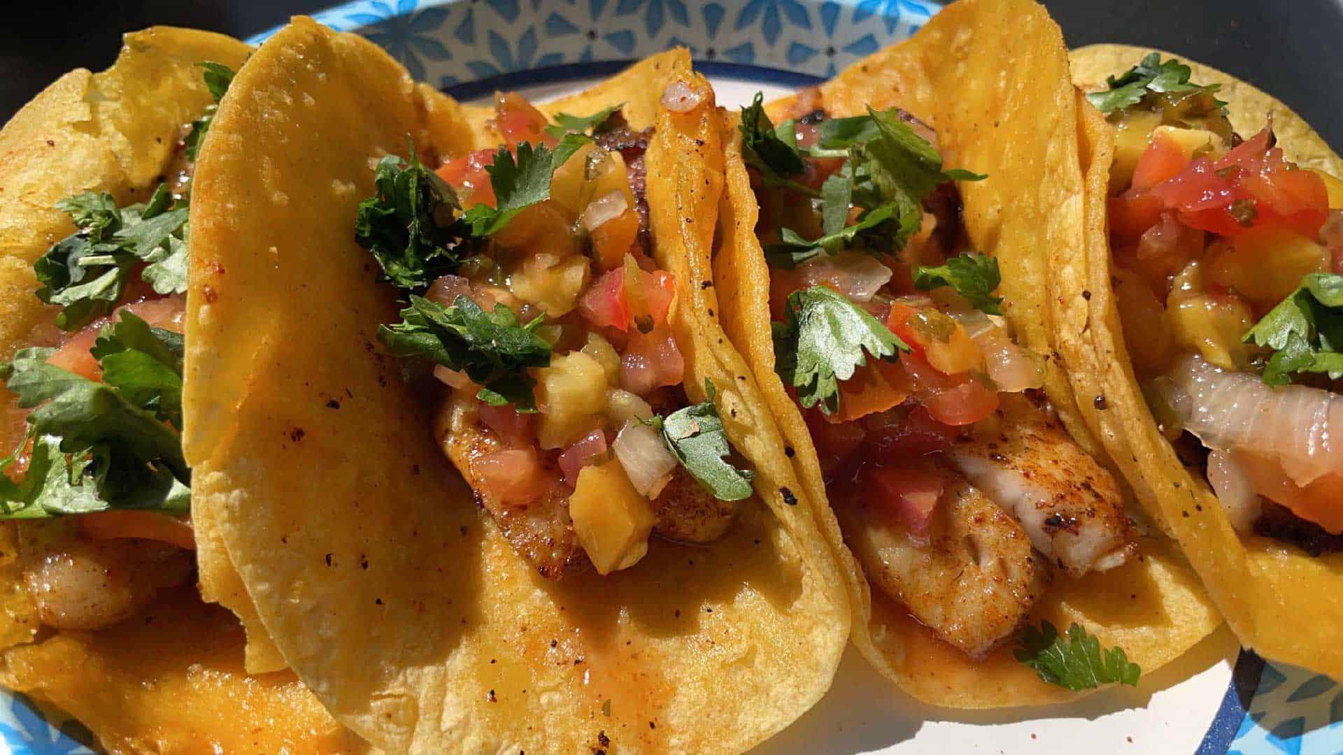 Daniel Arm’s of Arms Family Homestead shares his fish taco recipe