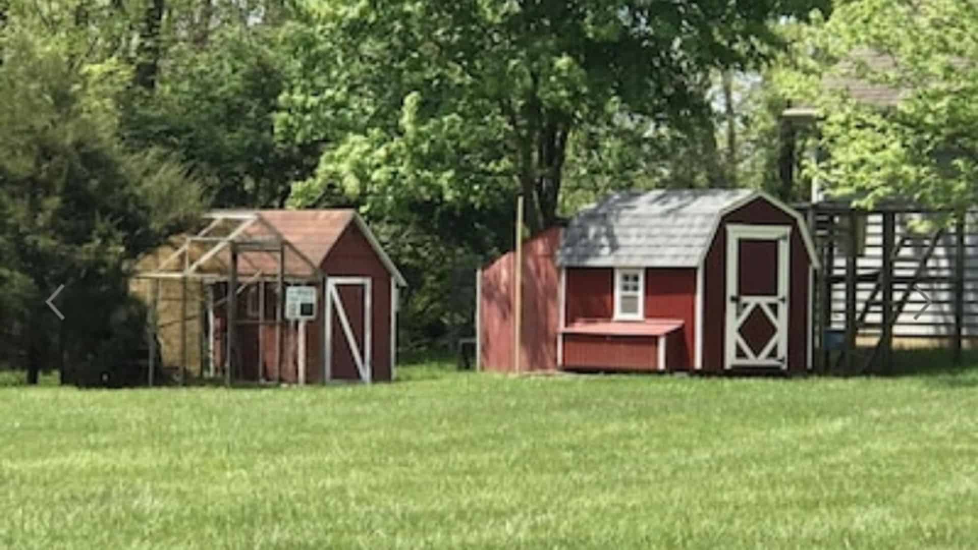 Chicken coop and storage buildings