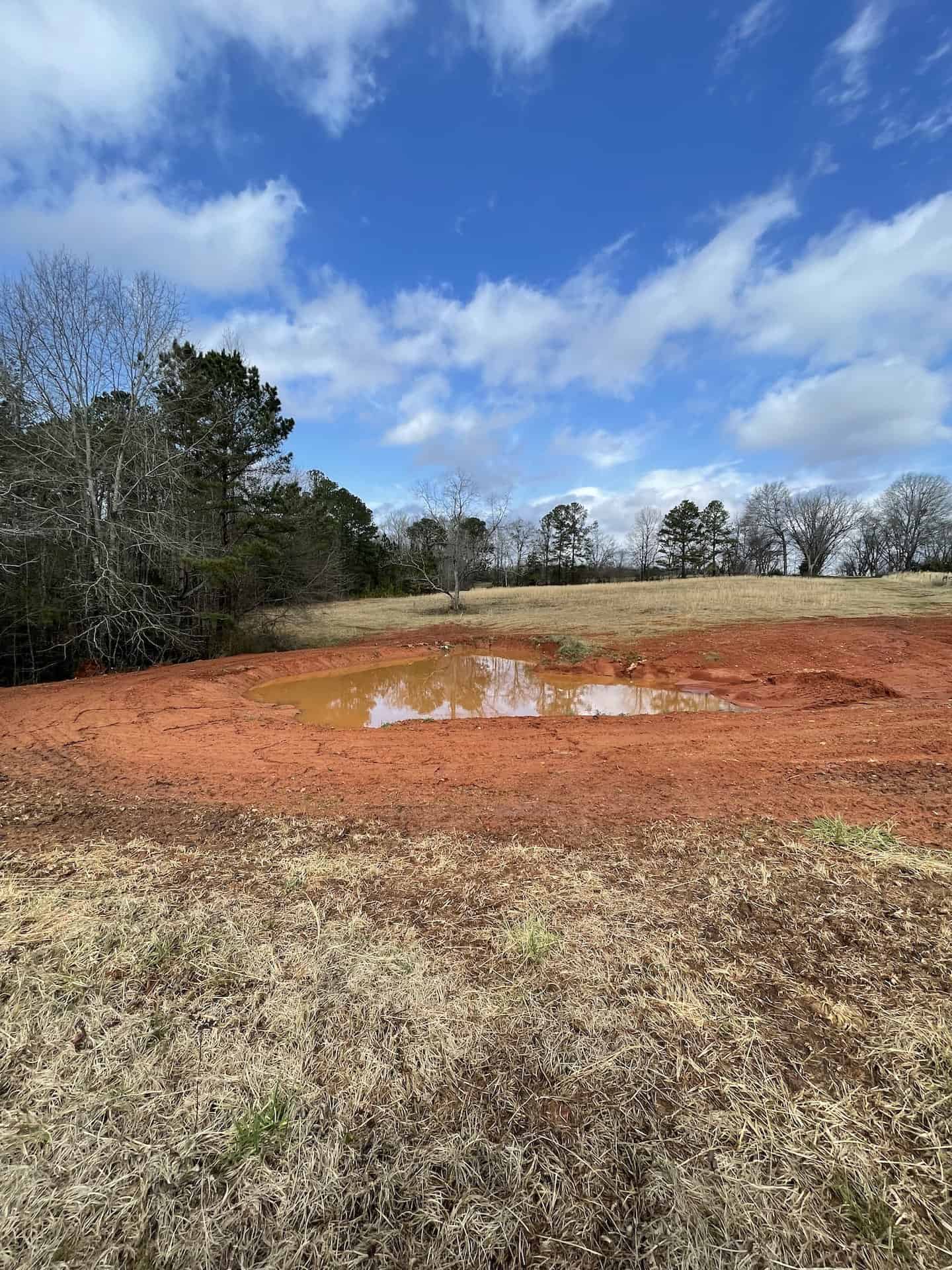 a cattle style dirt tank proved a supplemental water source