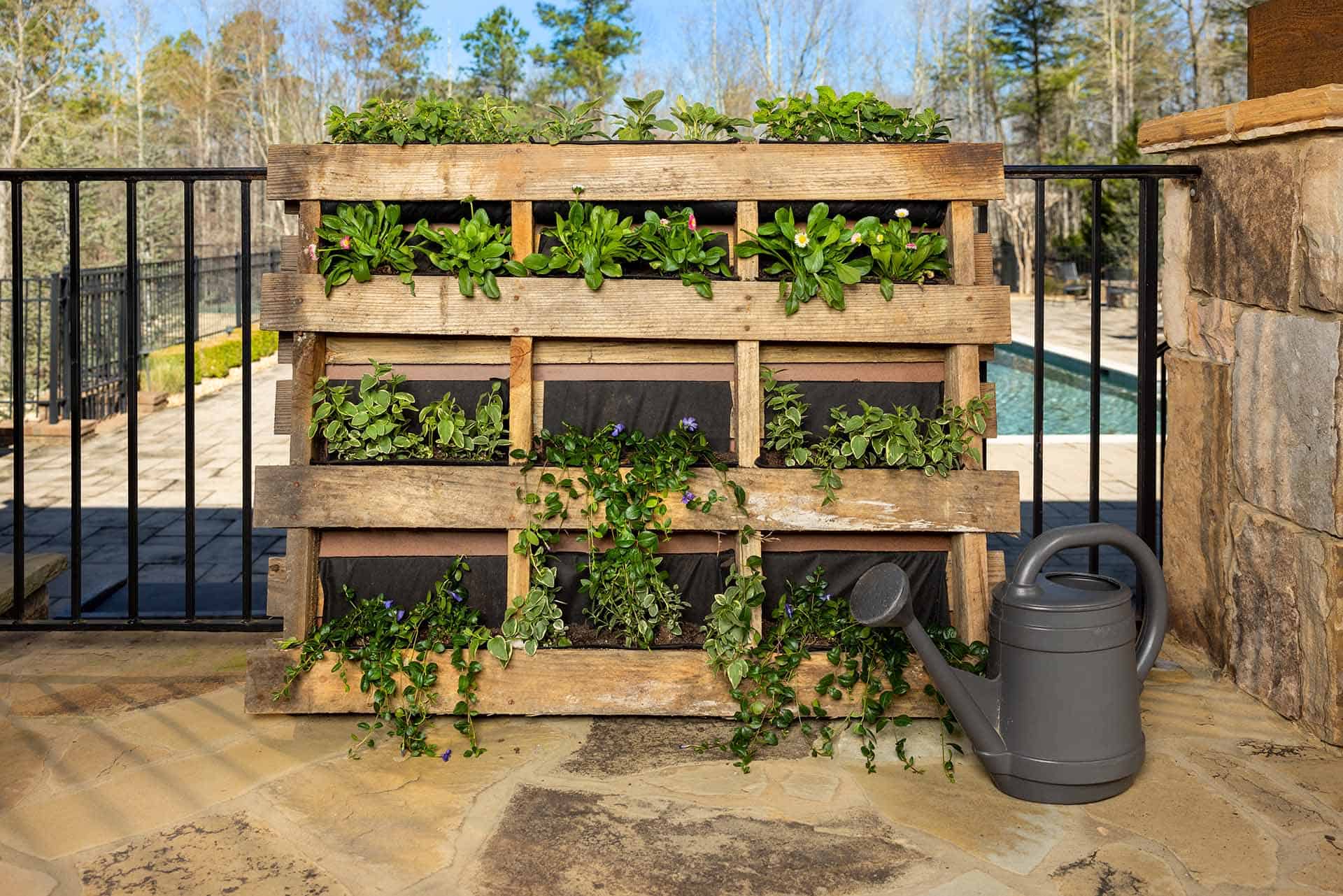 Finished vertical garden pallet with water can and plants installed 