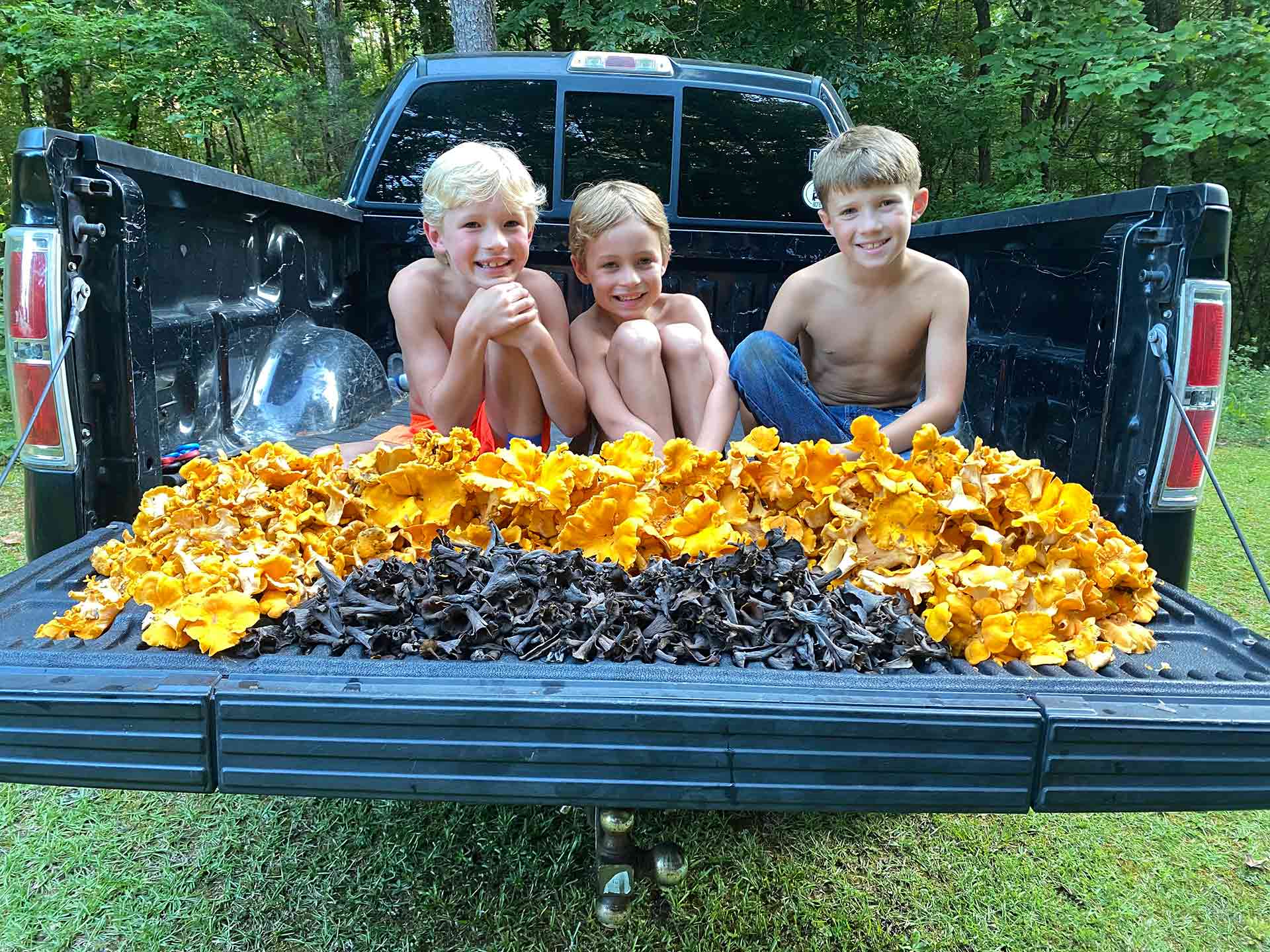 David Bancroft Mushroom Foraging