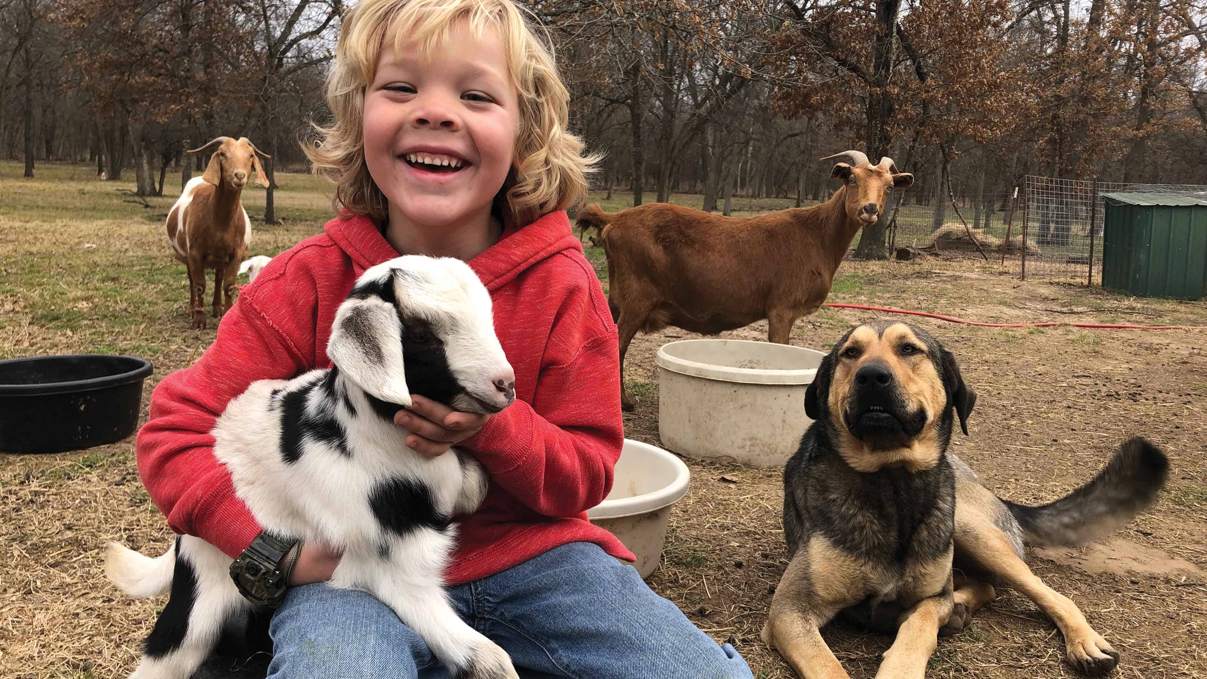 Boy holding baby goat with other farm animals behind him
