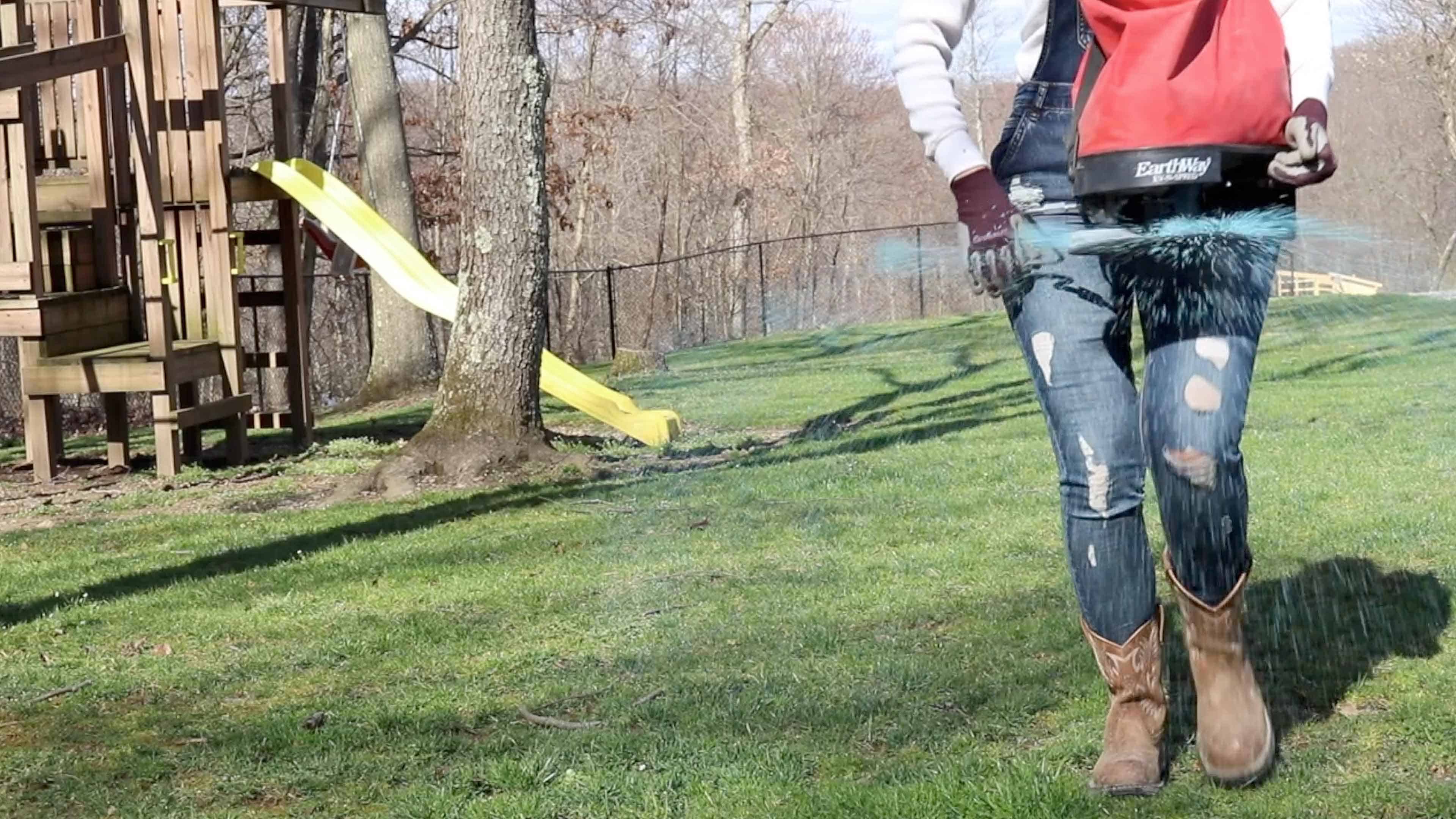 Fertilizing lawn with handheld spreader