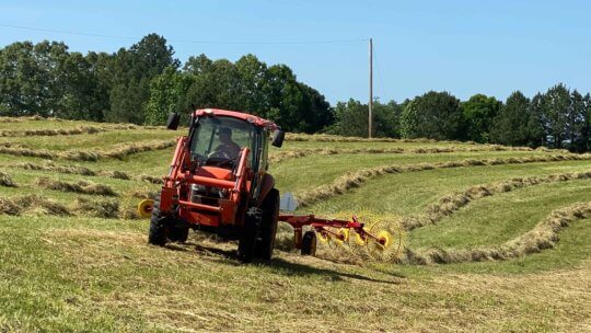 Harvesting hay in tractor