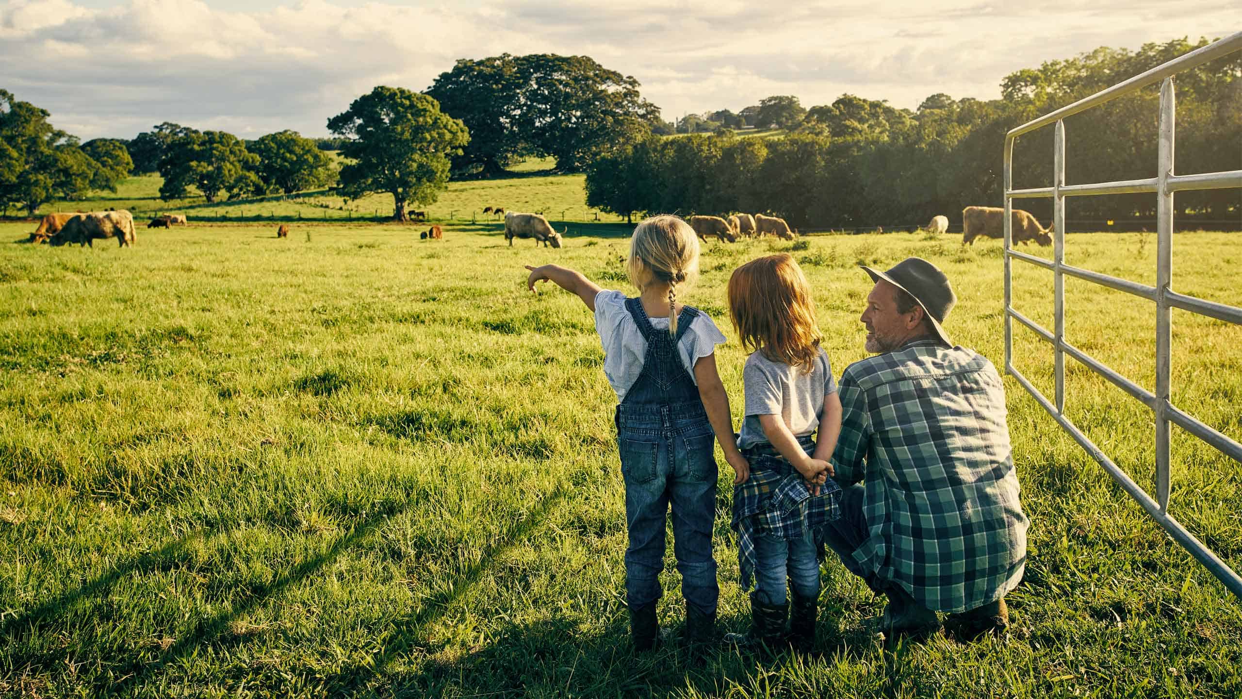 Man with children in cow field