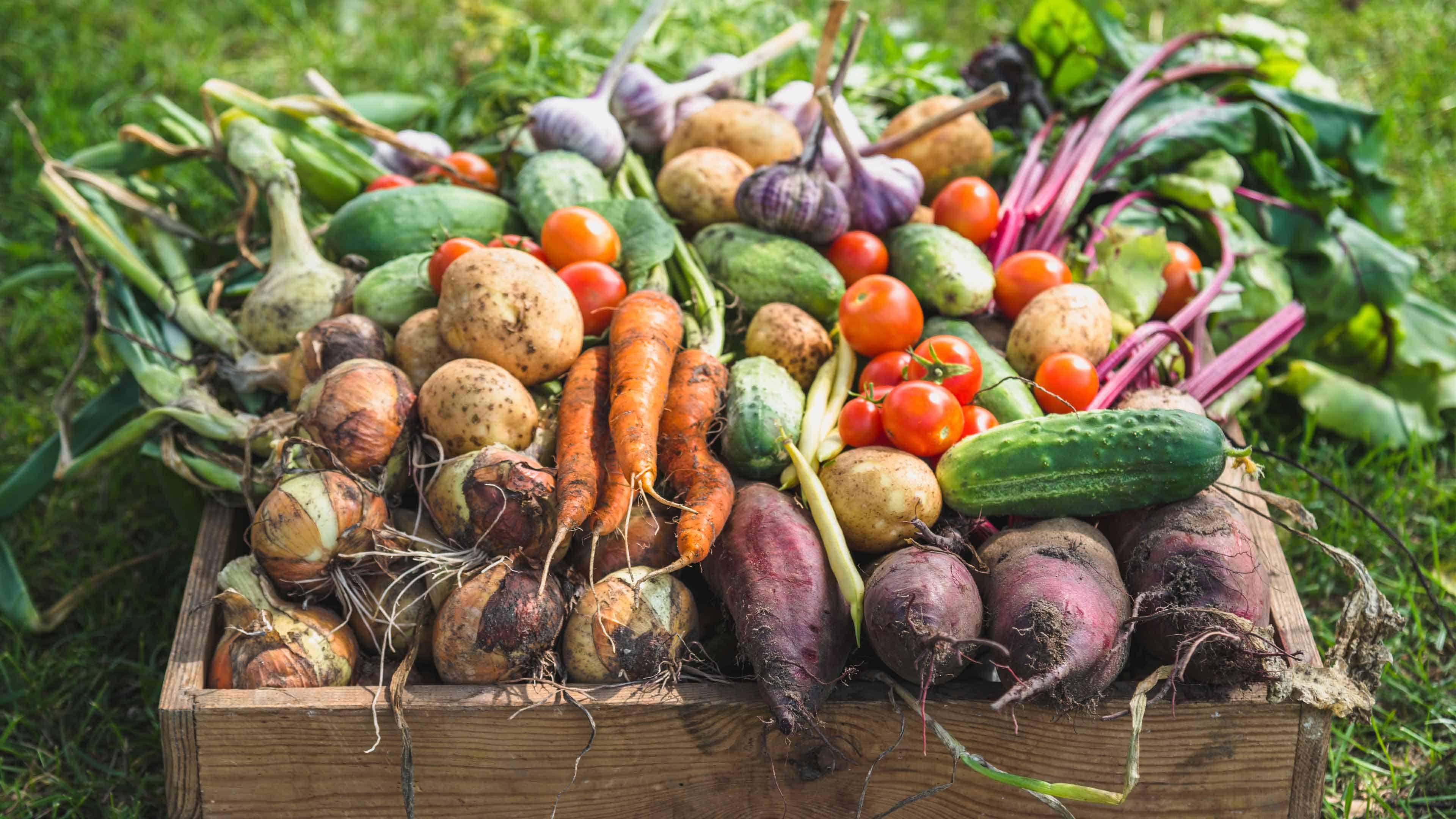 Fall Garden Harvest Recipes