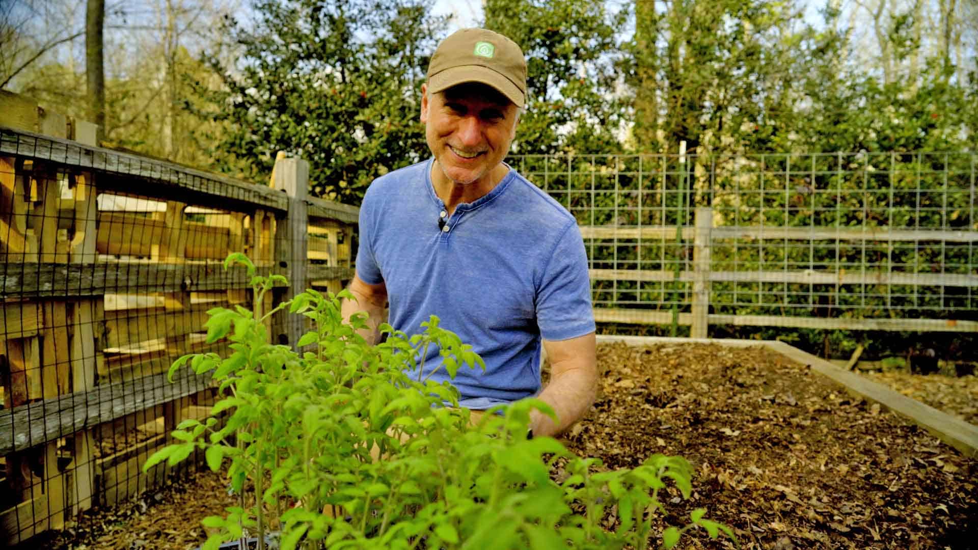 Heirloom seeds bring history, variety to the garden