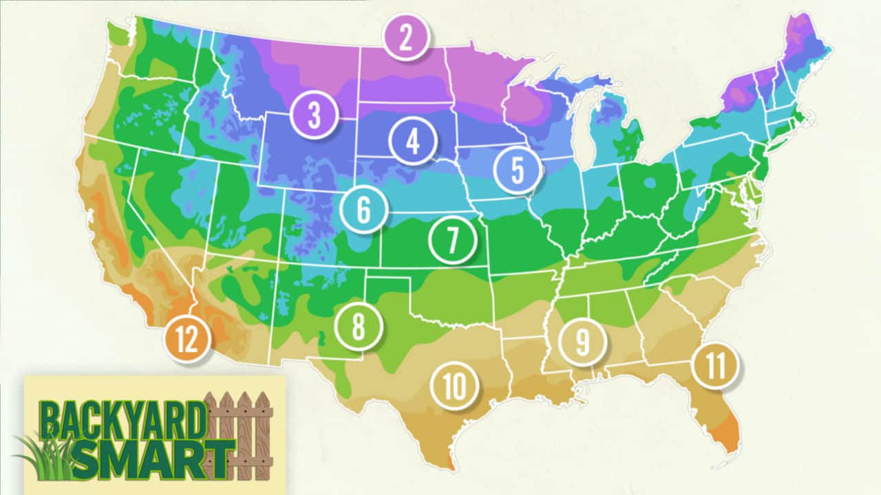 Know Your Plant Hardiness Zone