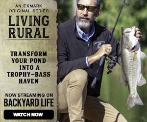 How to Stock a Pond with Bass - Exmark Original Video