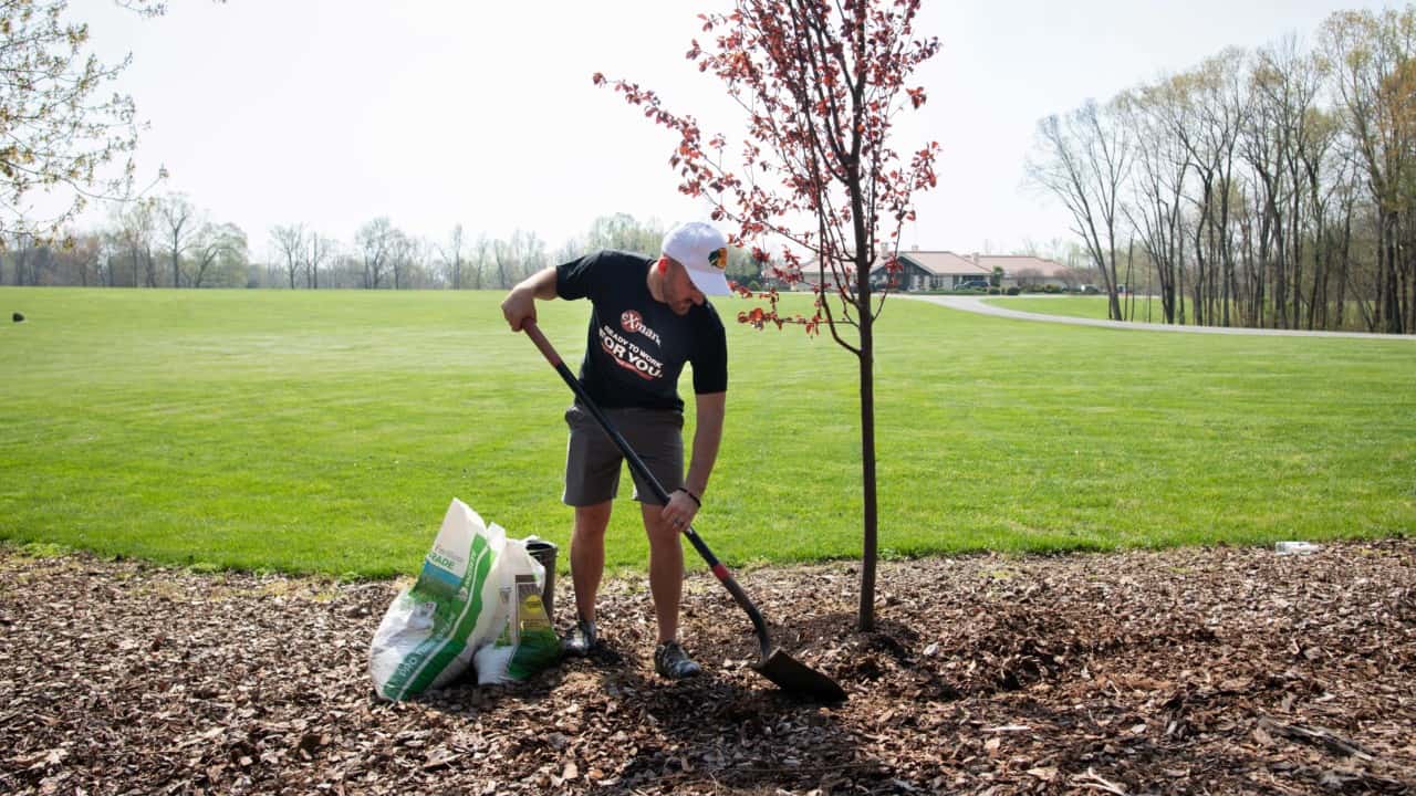 Austin Dillon planting a tree