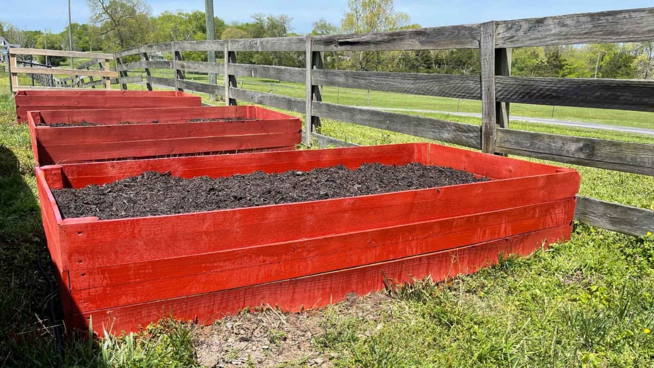 Inexpensive raised bed build