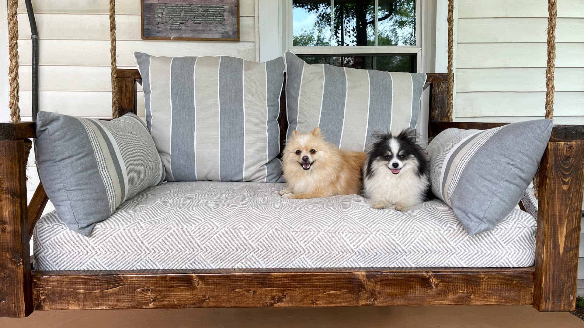 Dogs on a DIY porch swing