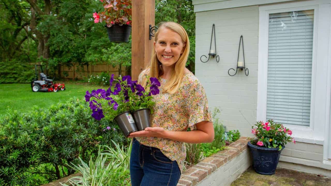Choosing Plants for your Patio