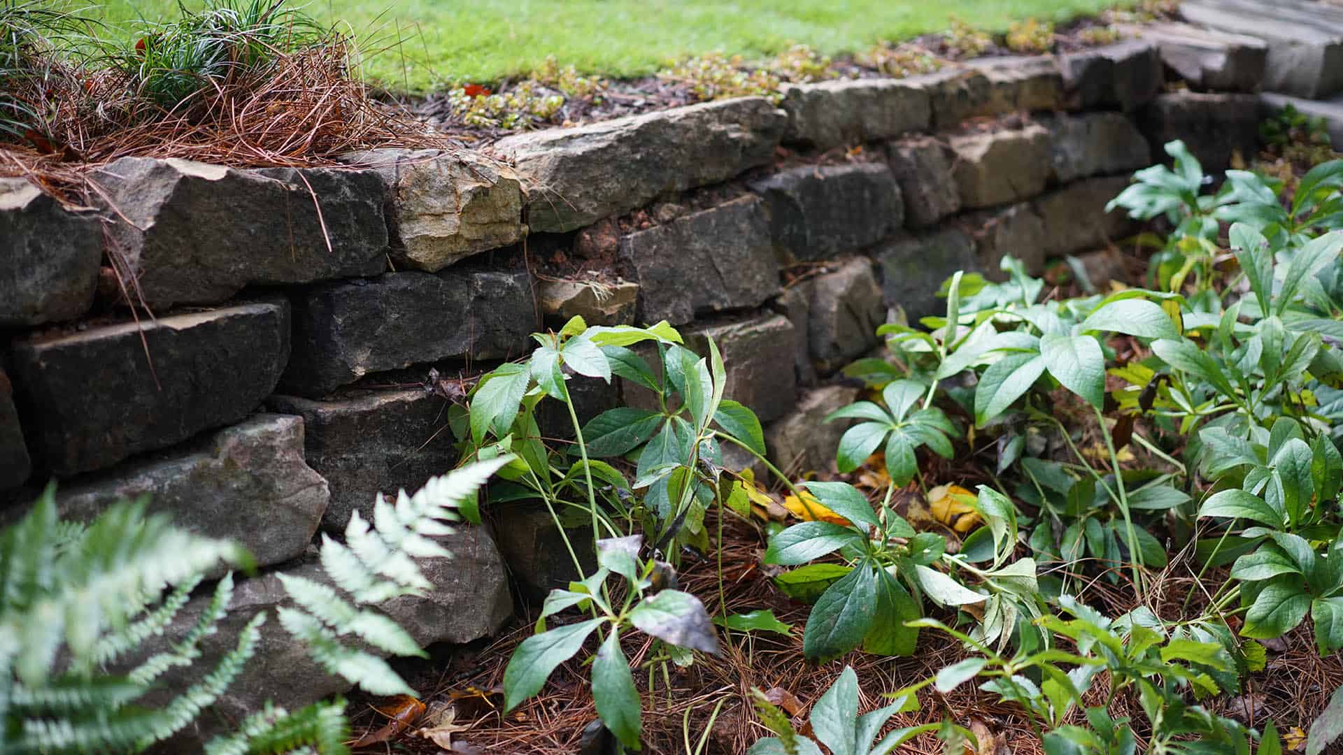 Boulder retaining wall is a great focal point for your natural landscpaping