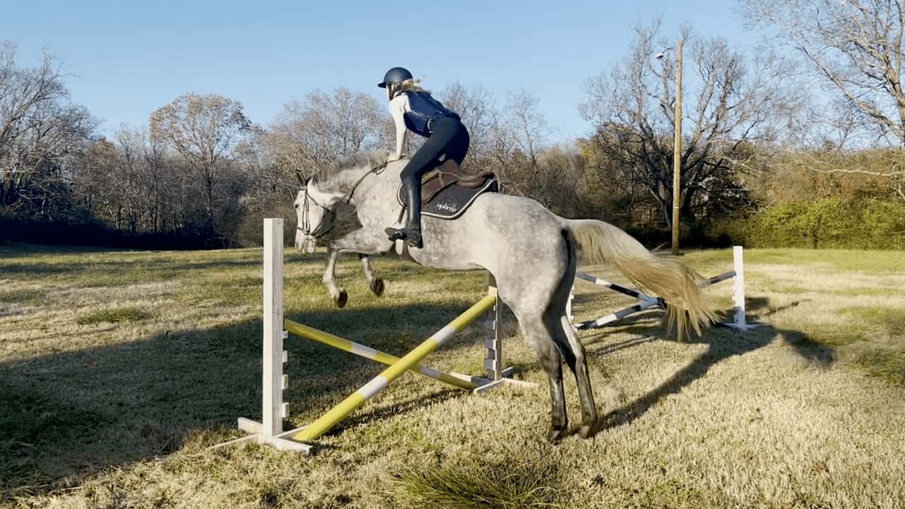 Girl on horse jumping fence