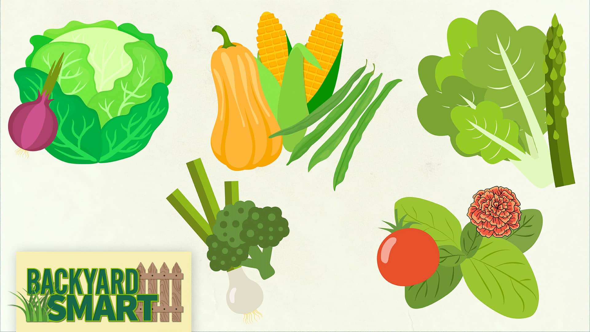 Companion Planting with Vegetables