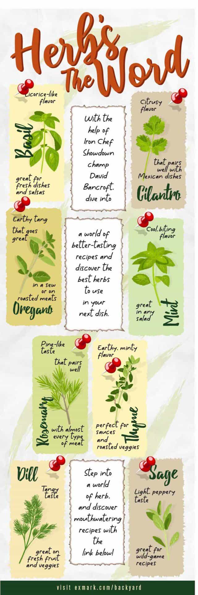 Infographic of when to use different herbs