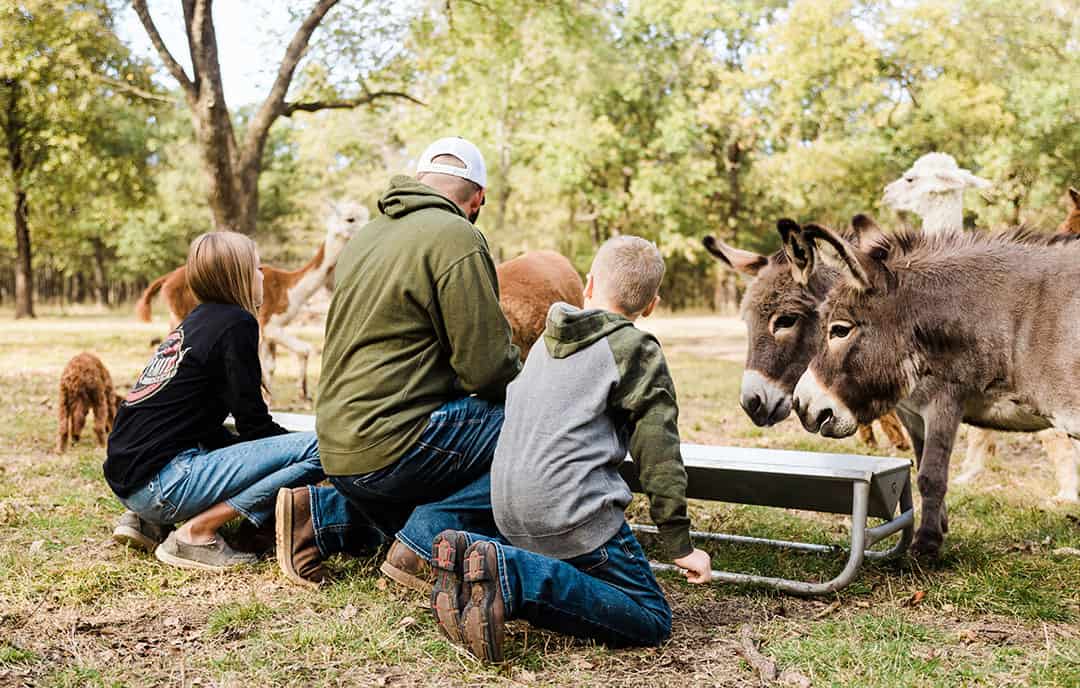 Daniel and kids feeding livestock