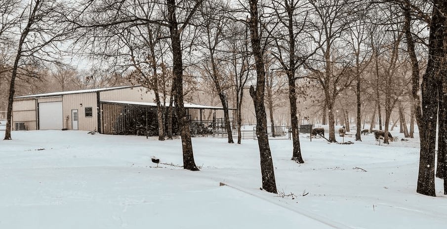 Winter on the homestead