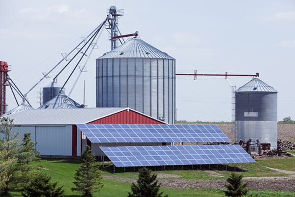 Solar panels on farm