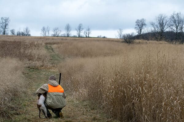 Man in a field with his dog hunting