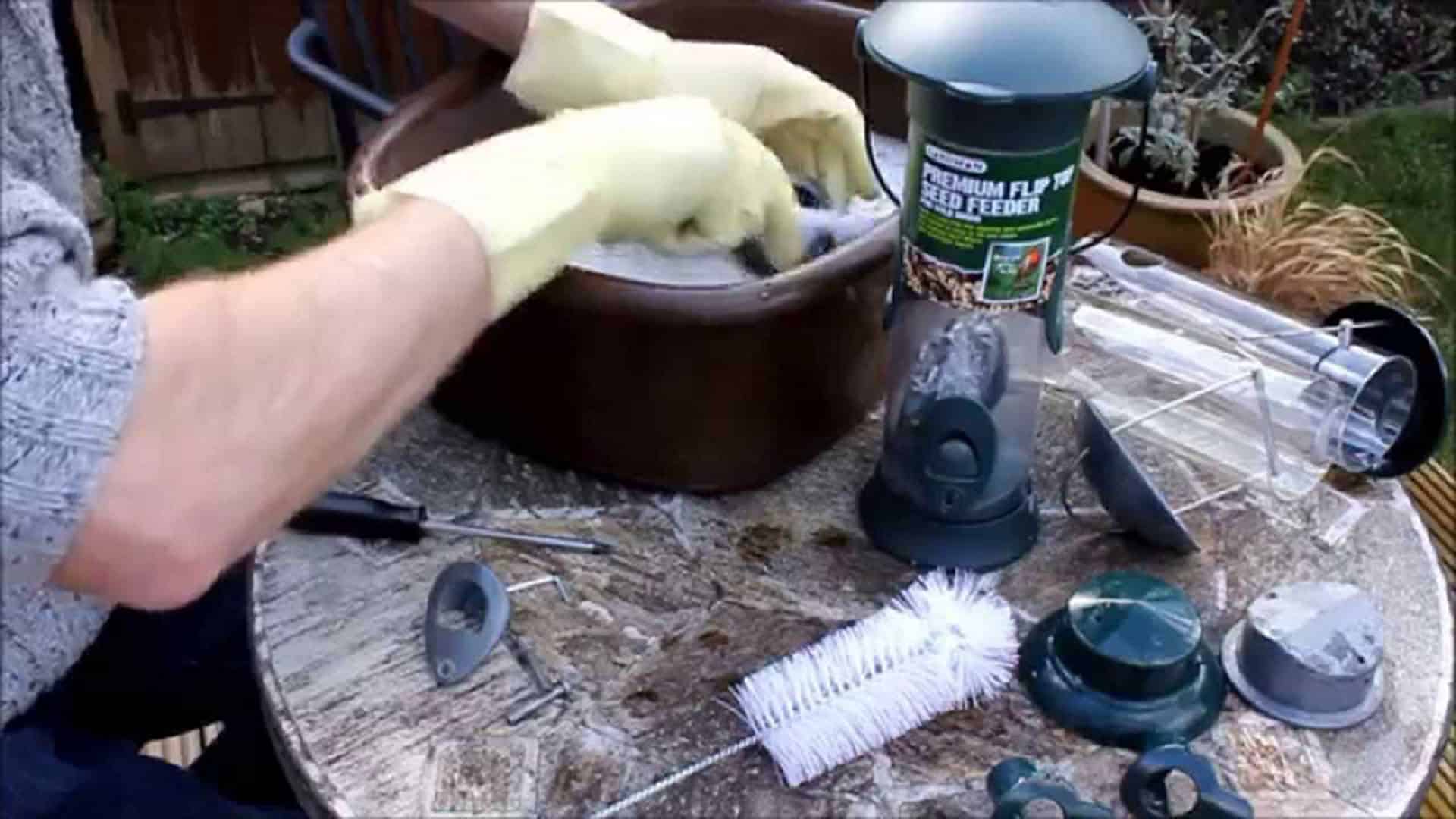 Routinely sanitize your bird feed at least once per month.