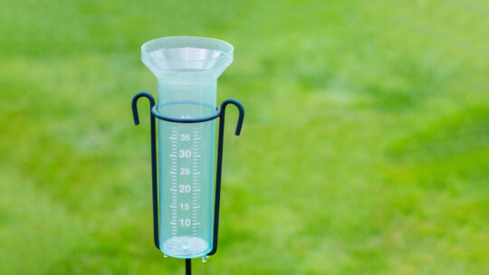 Rain gauge