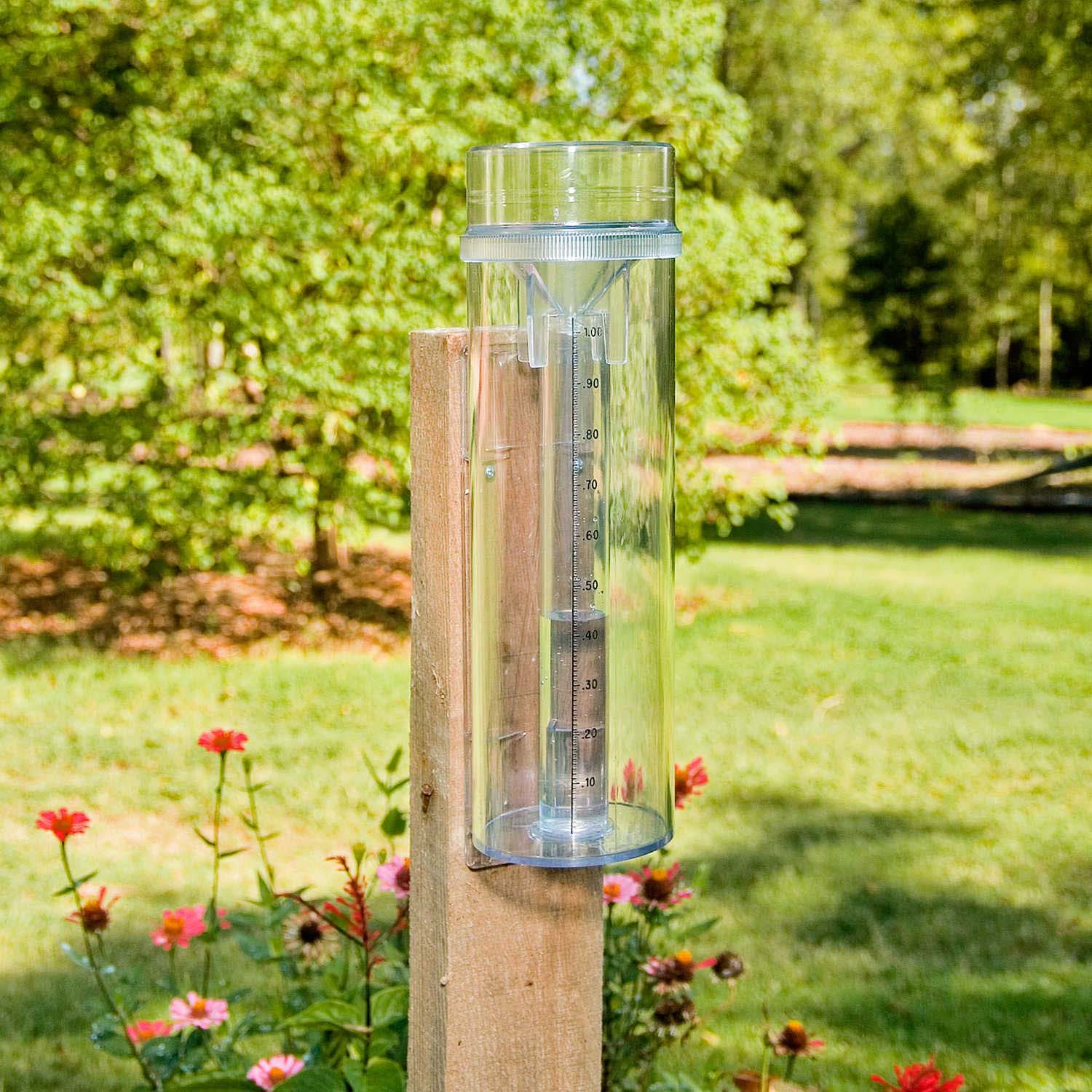 Using a rain gauge for water conservation