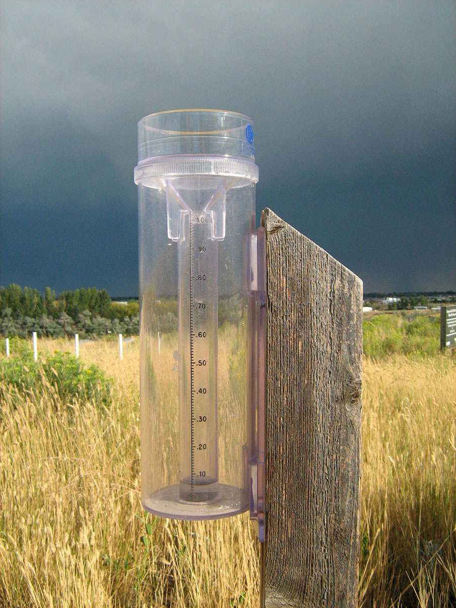 Using a Rain Gauge to Measure Rainfall Exmark's Backyard Life