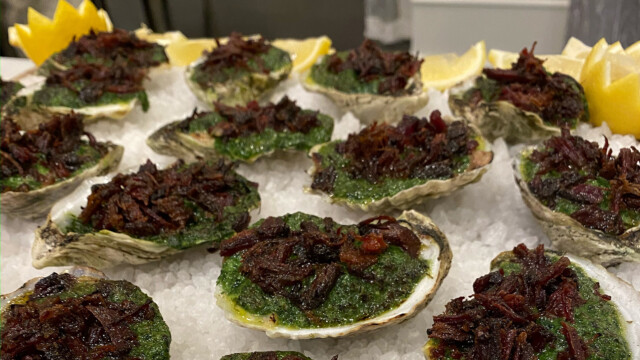 Grilled oysters over a bed of ice