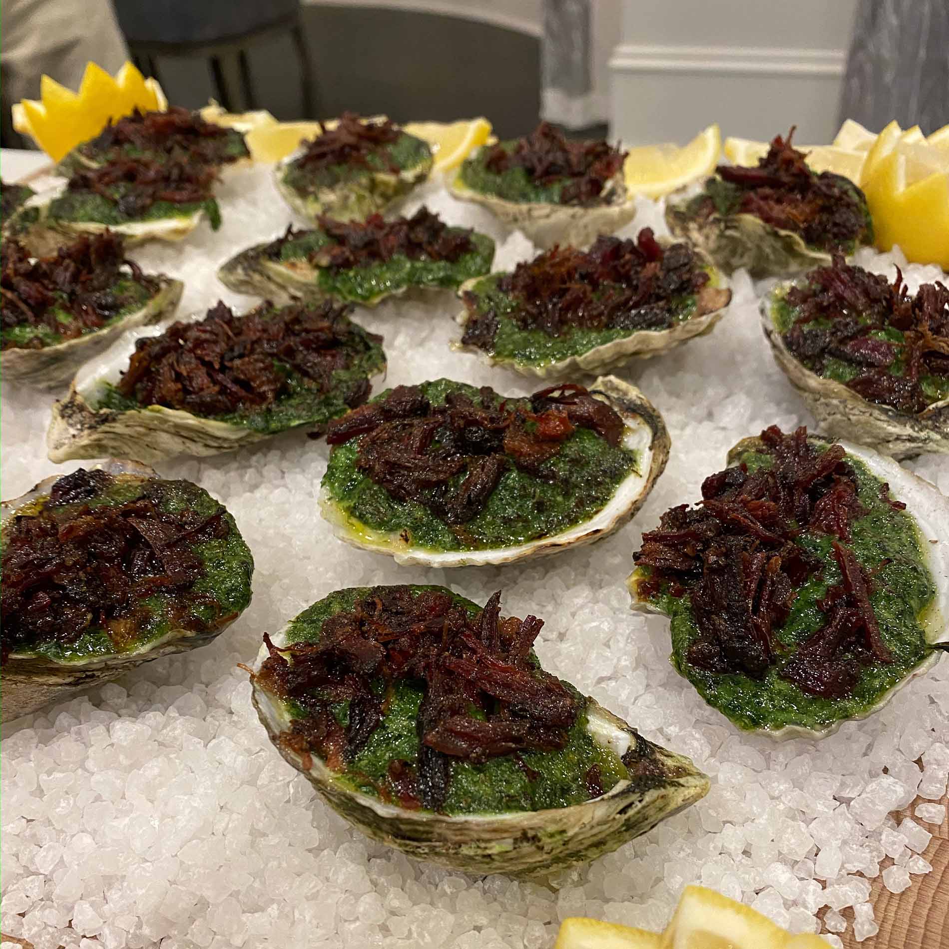 Grilled Oysters Recipe