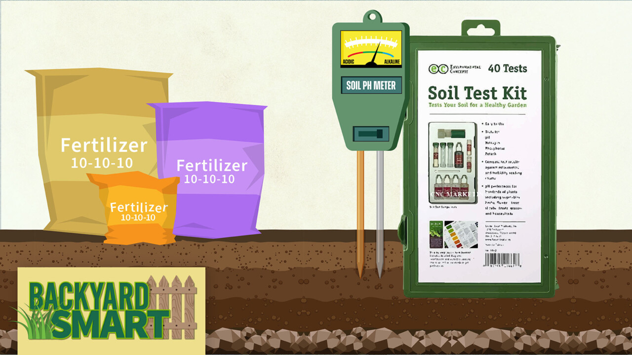 Backyard Smart Benefits of DIY Soil Tests