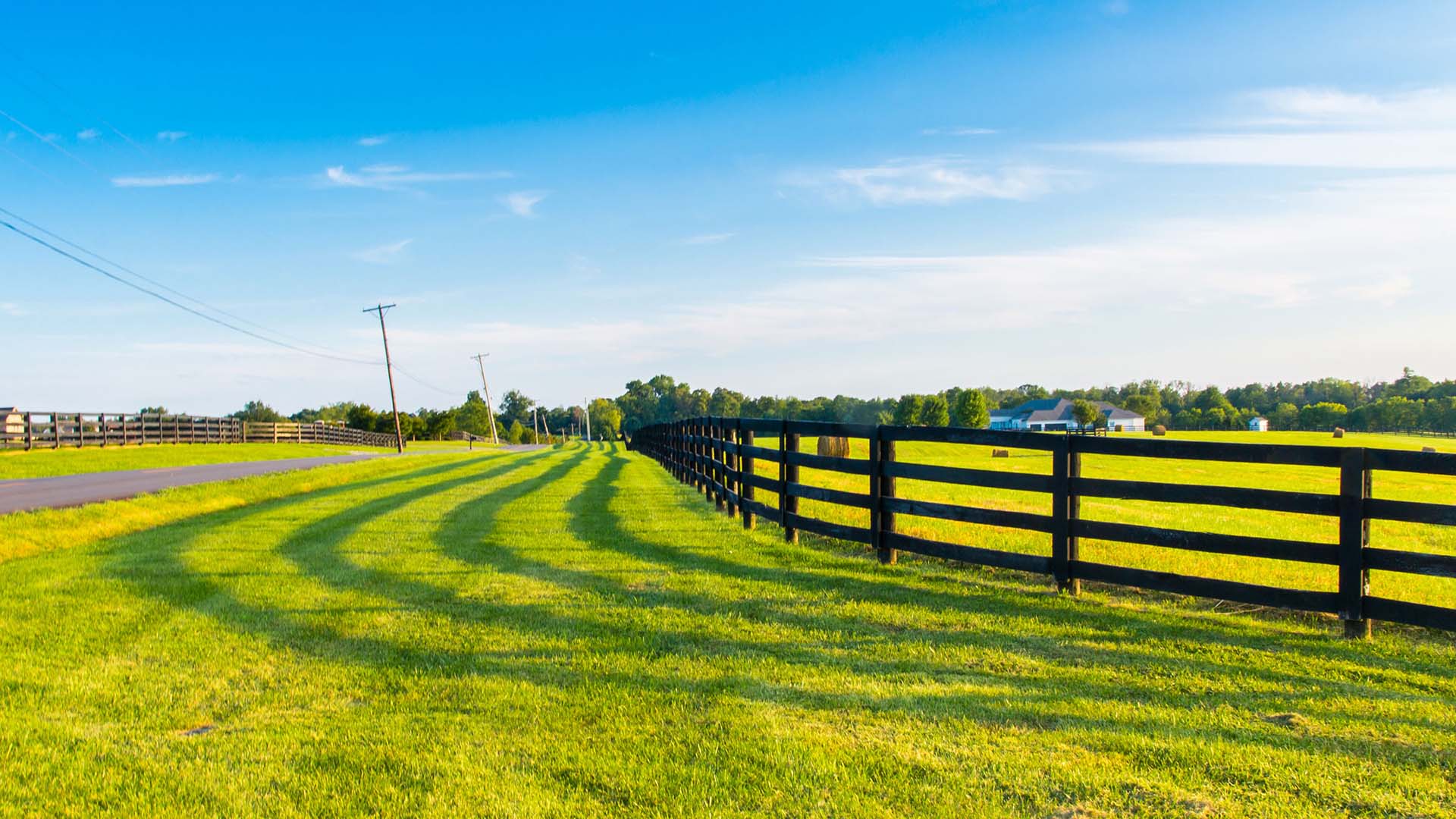 Grae Buck Pasture Management green grass