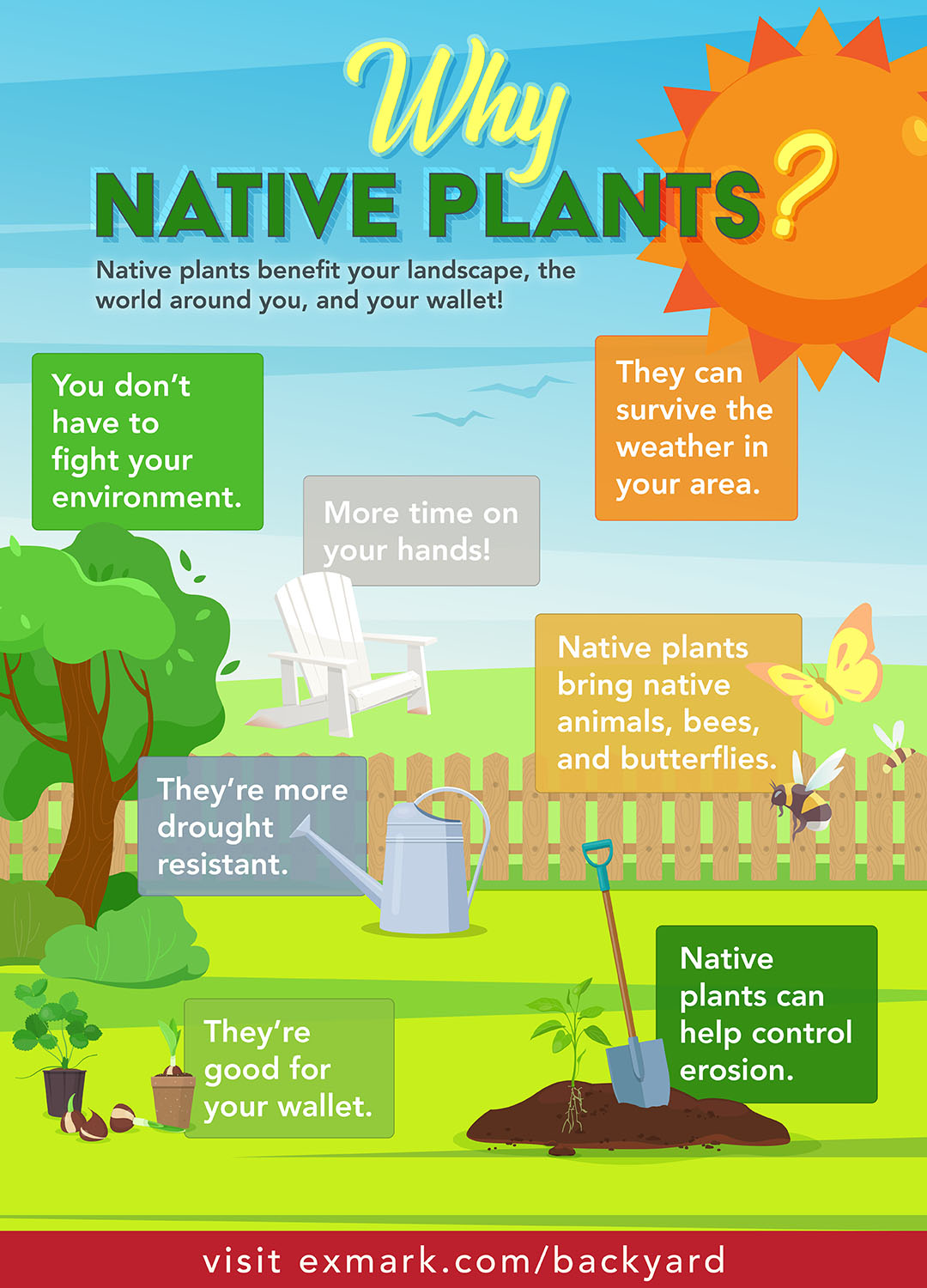 Native Plants Infographic