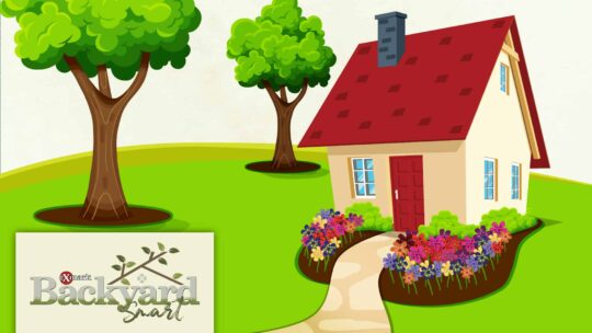 Backyard Smart Benefits of Lawn Edging graphic