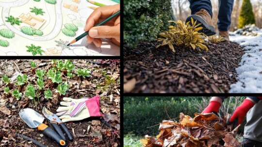 Collage of winter gardening ideas